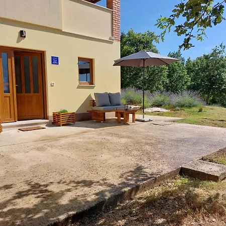 Apartment Nika Visnjan